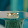 The Adaline